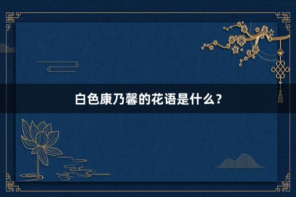 白色康乃馨的花语是什么？
