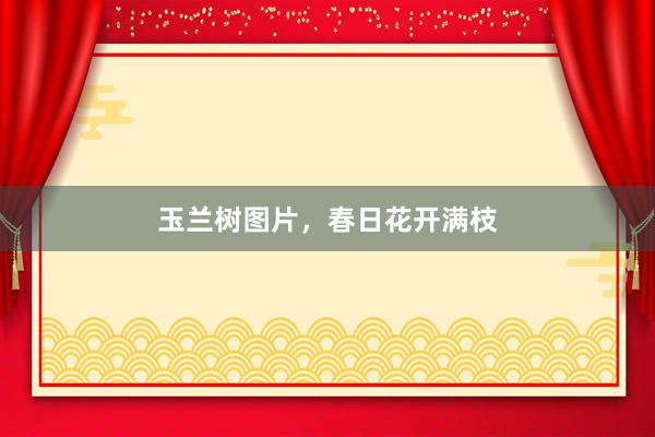 玉兰树图片，春日花开满枝