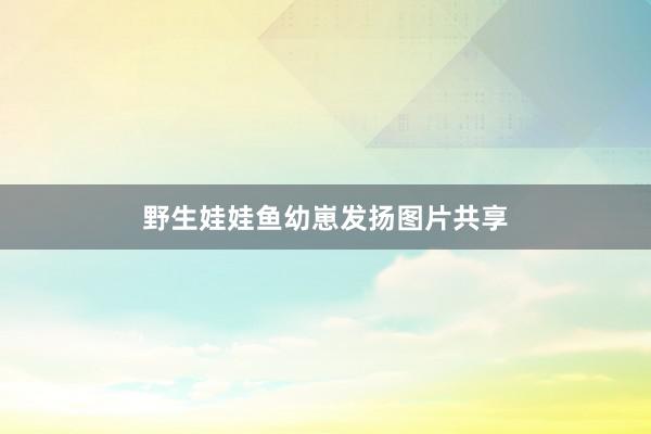 野生娃娃鱼幼崽发扬图片共享