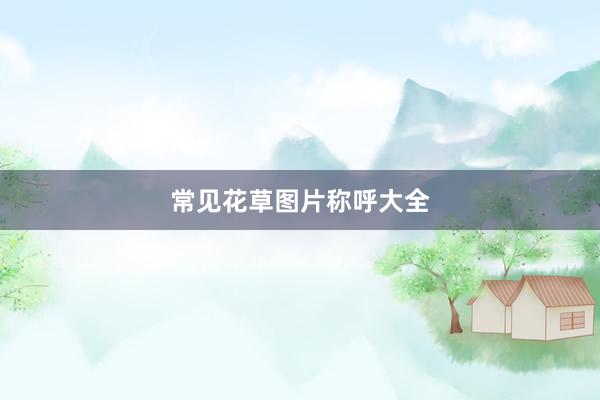 常见花草图片称呼大全